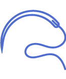 Custom icon